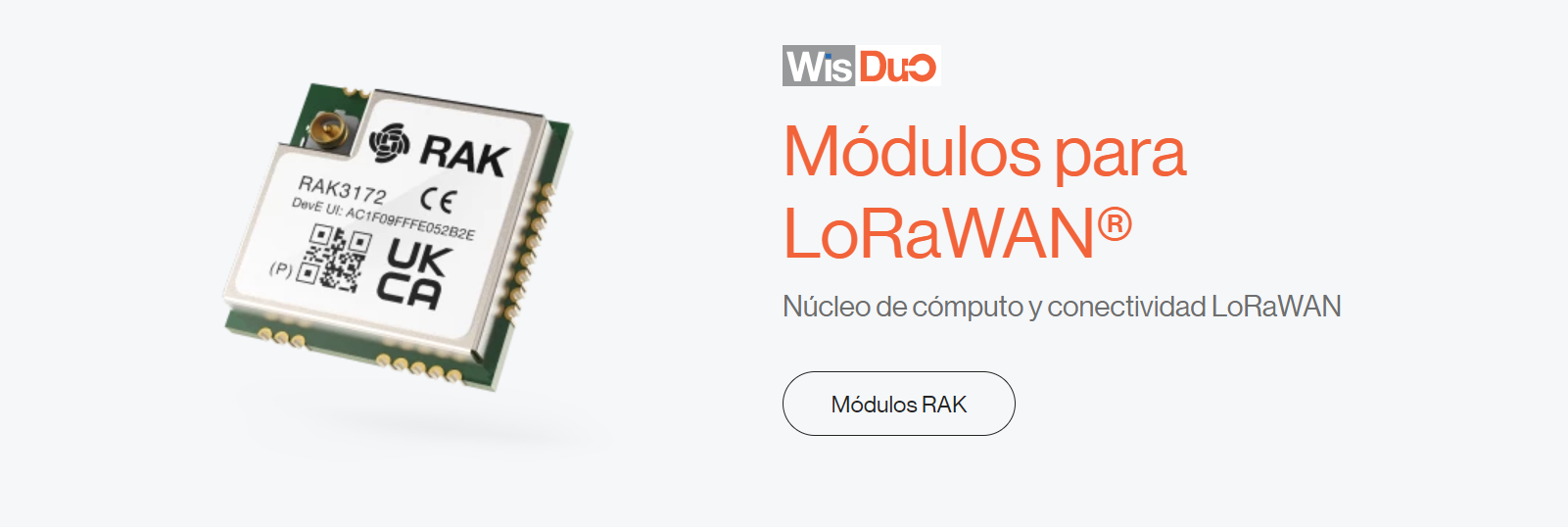wisduo