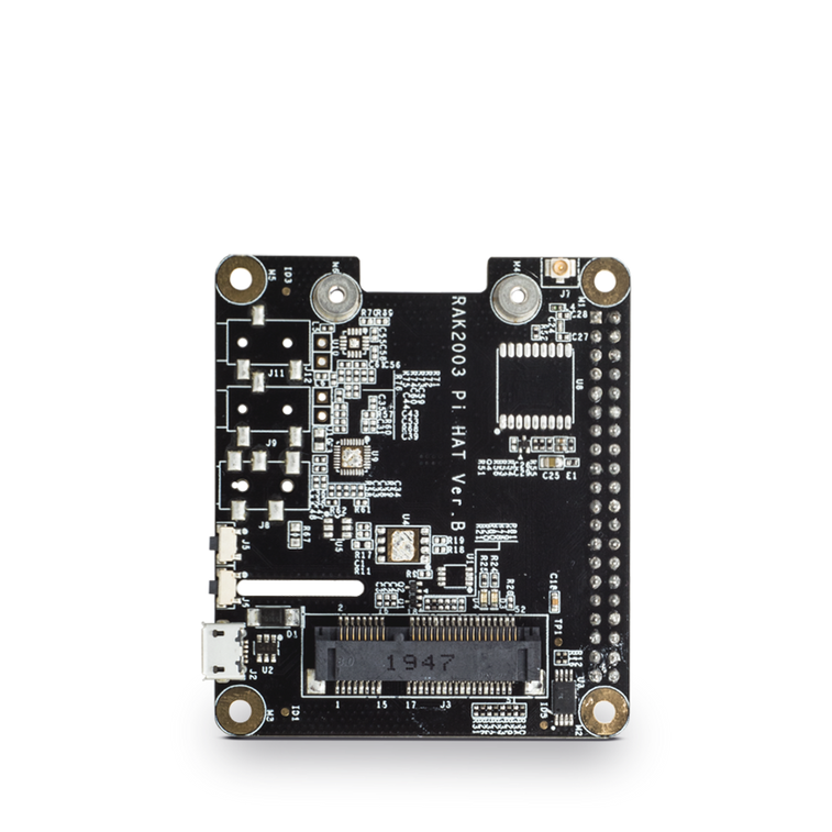 RAK2287/RAK5146 Pi HAT