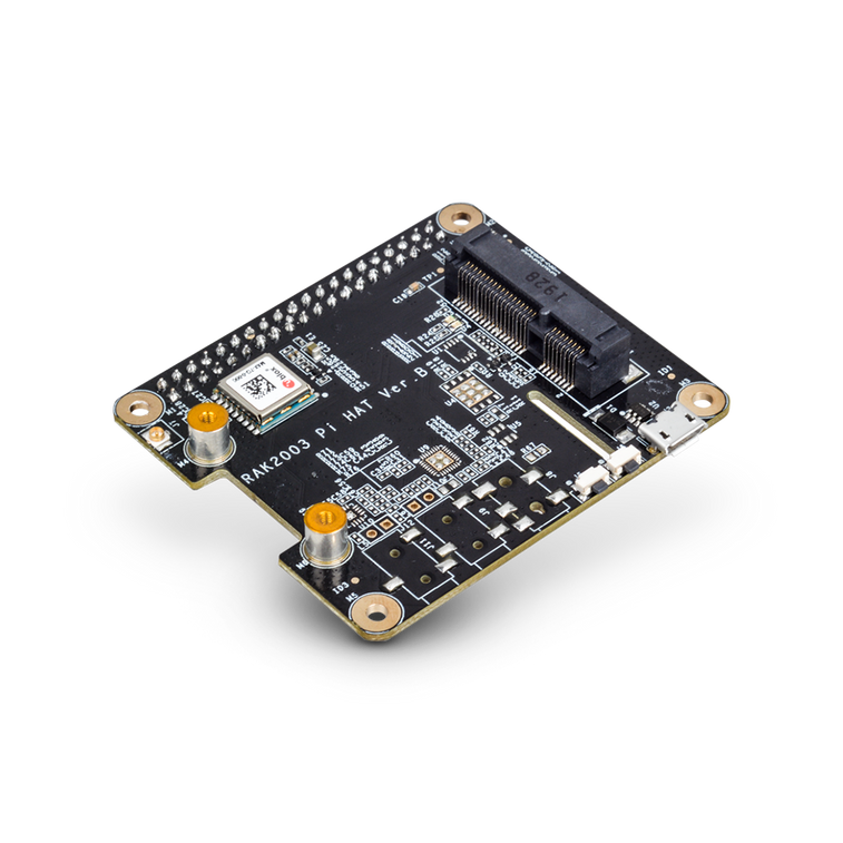 RAK2247 Pi HAT