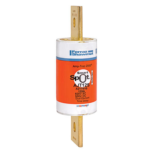 Fusible 150A, 600 VAC / 500 VDC, clase J, lento
