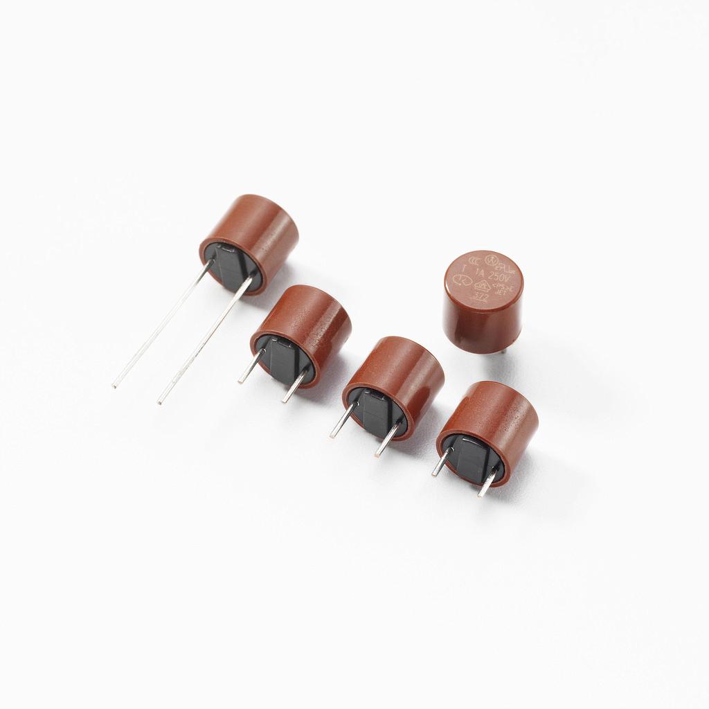 Fusible para PCB TR5, radial, 100mA, curva T, 250V