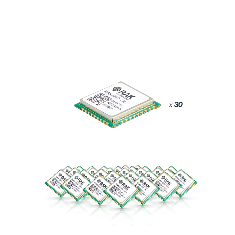 WisDuo LPWAN Module RAK4260 Bundle of 30 units