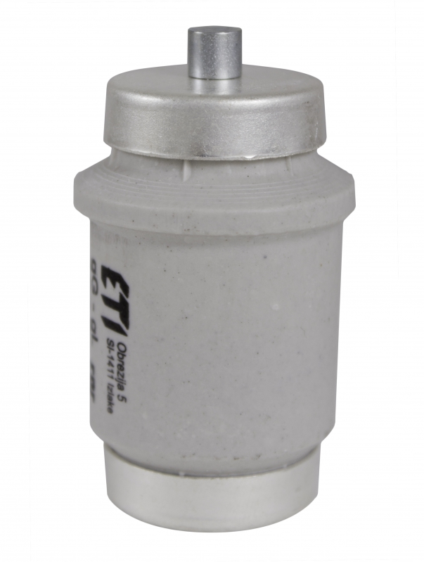 Fusible Diazed tamaño DIV, 100A, curva gG/gL, 500V