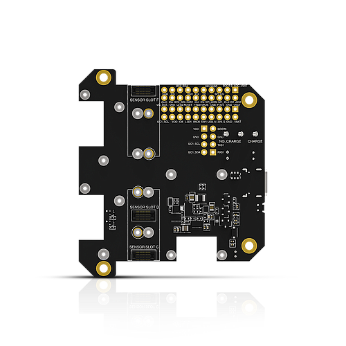 Dual IO Base Board RAK19001