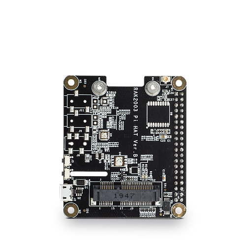 RAK2287/RAK5146 Pi HAT
