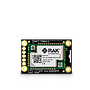 Módulo Core Nordic nRF52840 BLE  LoRaWAN con LoRa SX1262 RAK4631 / RAK4631-R