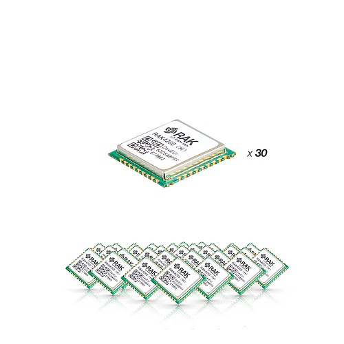 WisDuo LPWAN Module RAK4260 Bundle of 30 units